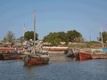 darlocalfishingboats