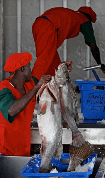 Fish Control